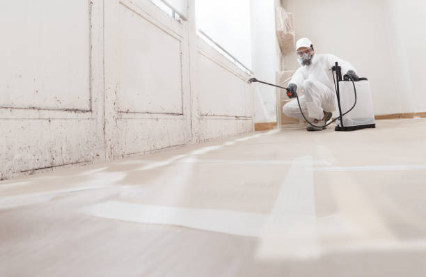 24/7 Emergency Basement Mold Remediation experts in Warren, PA