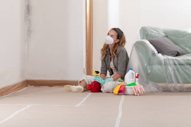 Reliable Basement Mold Remediation contractor in Warren, PA by WQB Mold Removal